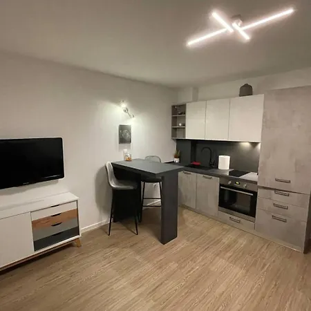 Studio Apartman Rijeka * רייקה