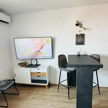 Studio Apartman Rijeka דירה *